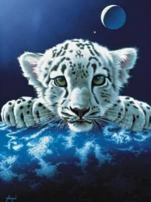 le tigre