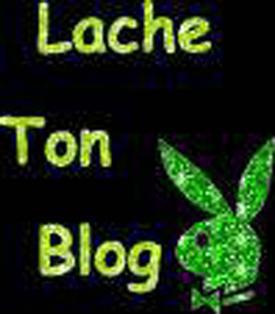 blog