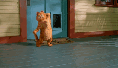 garfield