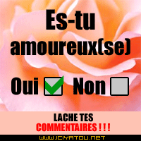 oui ou non