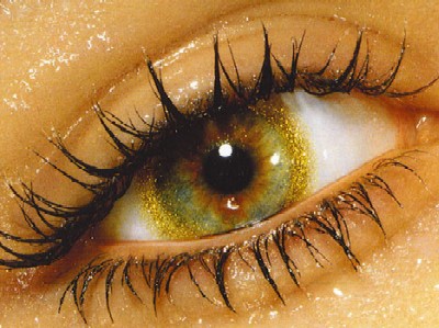 yeux