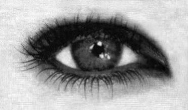 yeux
