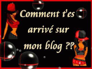 MY BLOG